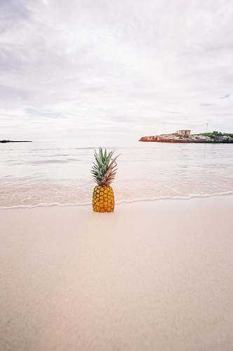 food pineapple on sand near beach fruit