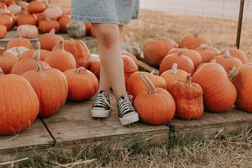 apparel brown pumpkin clothing