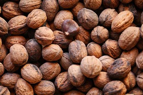 food brown walnuts walnut