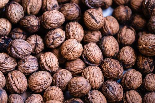 food nut lot walnut