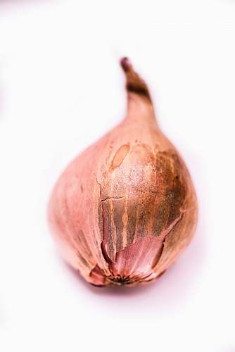 food onion vegetable vegetable