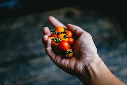 food person holding cherry tomatoes human
