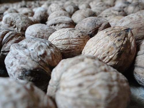 food pile of walnuts nut