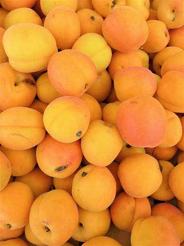 fruit pile of yellow fruits apricot