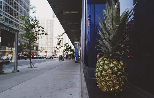 food pineapple on window pineapple