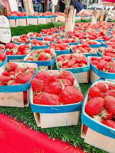 fruit red strawberry fruits strawberry