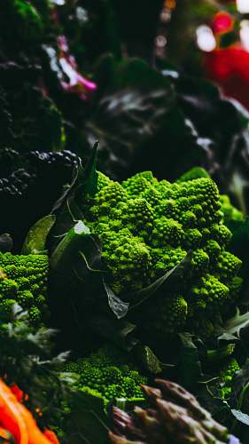 broccoli romanesco broccoli vegetable