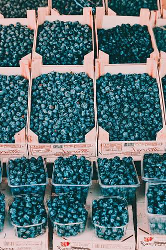 fruit shallow focus photo of blueberries blueberry