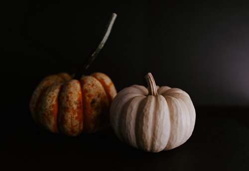 vegetable two green and yellow pumpkins pumpkin