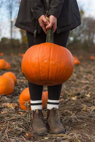 footwear child carrying orange pumpkin shoe
