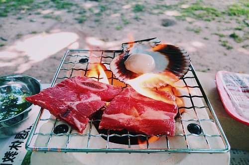 lobster grilled meat sea life