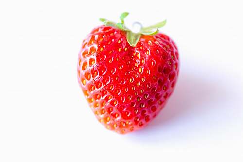 plant red strawberry food