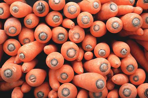carrot bunch of carrots produce