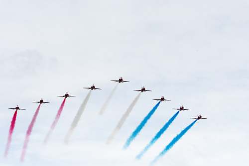 bird photography of airplane during flights flying