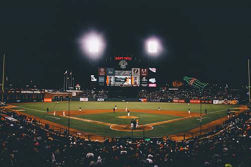 sport baseball player on baseball field during nighttime team
