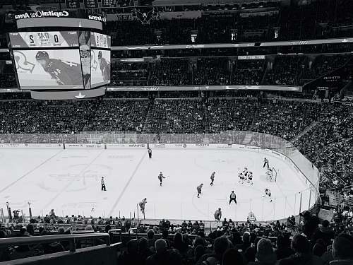 crowd ice hockey players on ice hockey arena washington