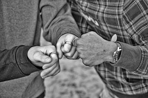 grey three men toast with their fists hand