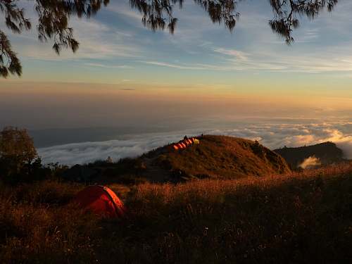 clouds orange dome tent on green lawn grass dawn