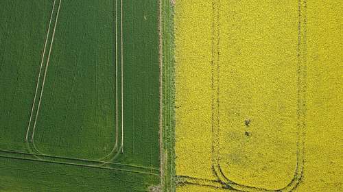 sport aerial photo of grass field sports