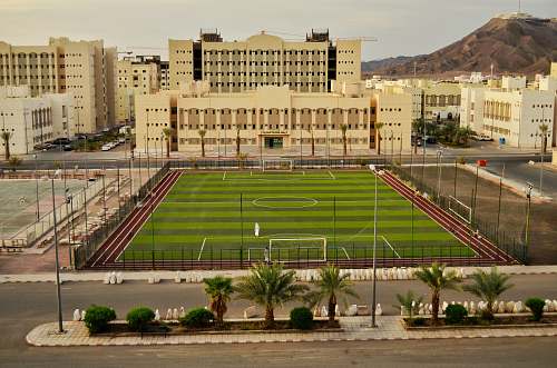green brown concrete building building