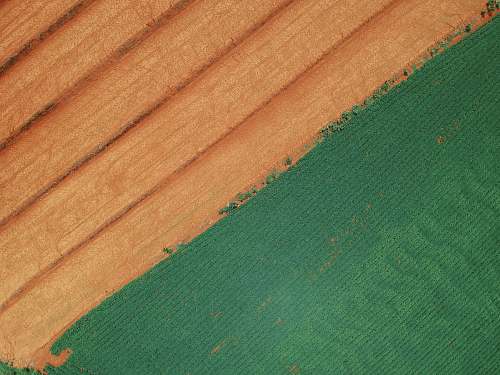 rug green textile ground