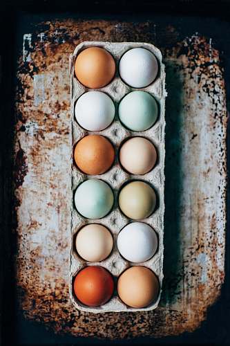 farm dozen eggs on tray halifax