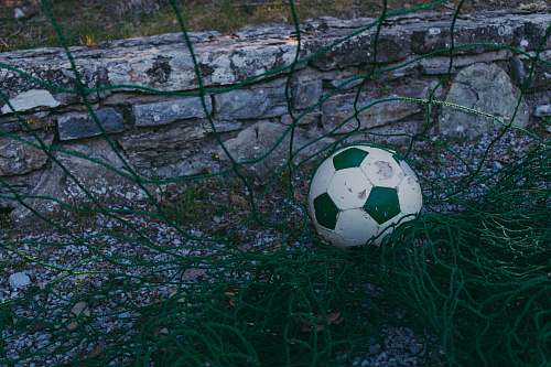 sphere white and green soccer ball ball