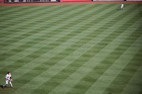 baseball baseball player about to throw baseball on field baseball field