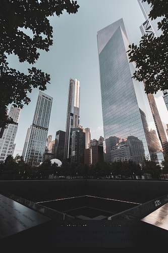 building gray and white high rise buildings city
