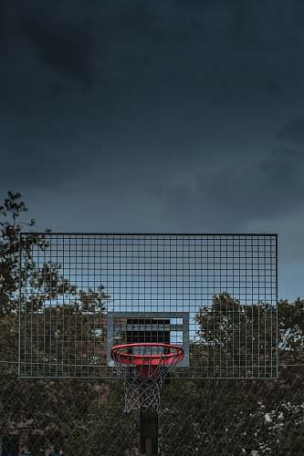 sport grey and red basketball ring team