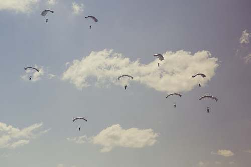 adventure people on parachutes during daytime leisure activities