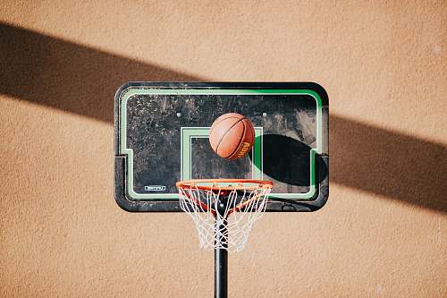 basketball ball on hoop human