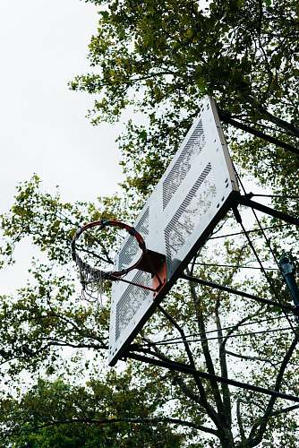 sport shallow focus photo of white basketball hoop sports