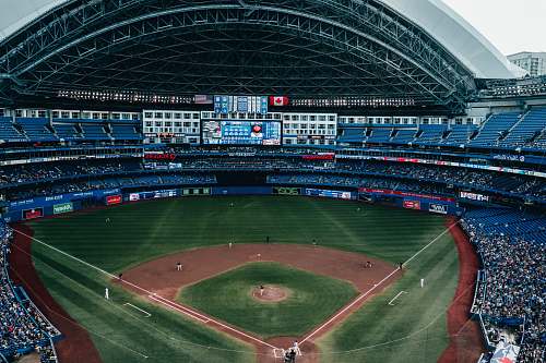 person baseball stadium building