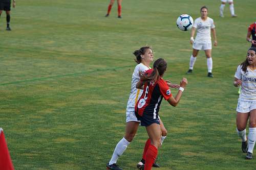 person football girl fights people