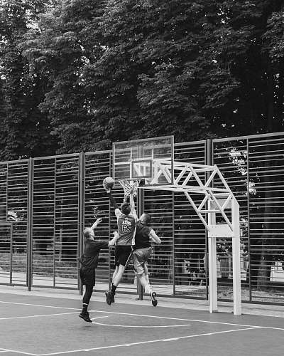 person greyscale photography of people playing basketball black-and-white