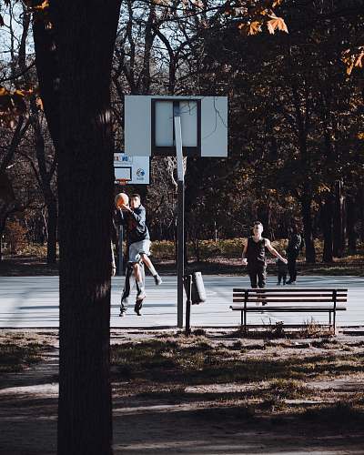 bench group of person playing basketball furniture
