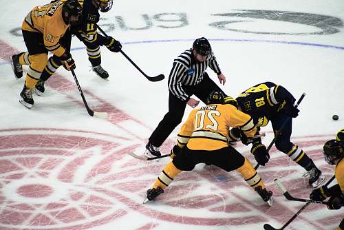 person ice hockey game screenshot apparel