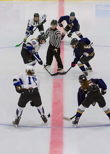 sport ice hockey players sports
