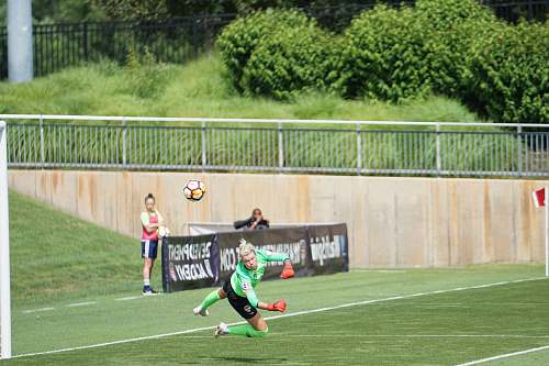 person man about to hit soccer ball in green field people
