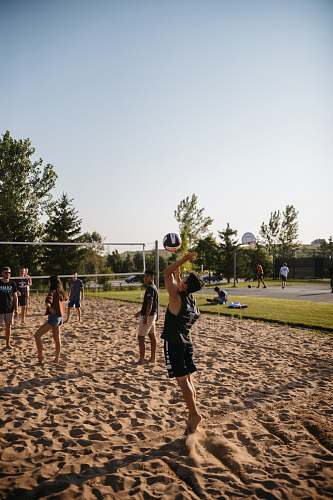 sport man playing volleyball person