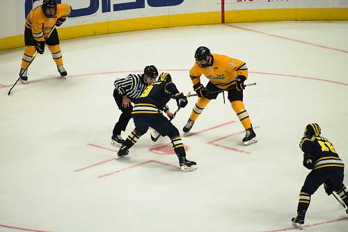 person men playing ice hockey hockey