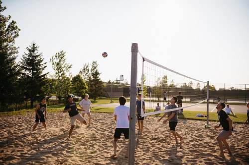 person men playing volleyball near pine trees team sport