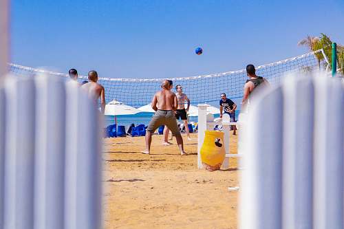 person men playing volleyball sphere