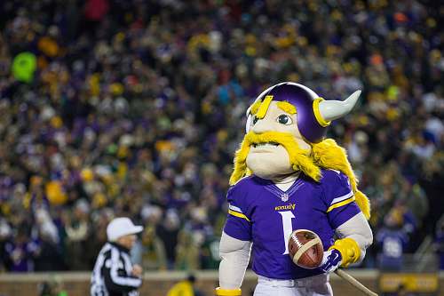 person Minnesota Vikings mascot
