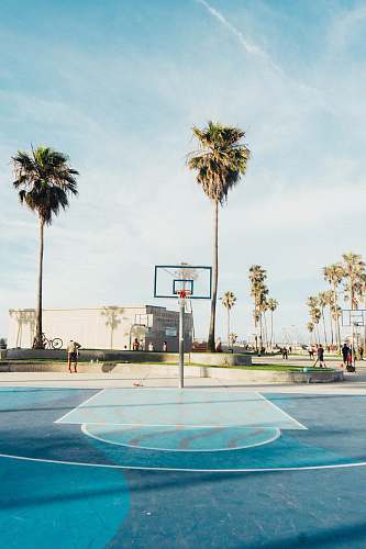 person people outside outdoor basketball court people