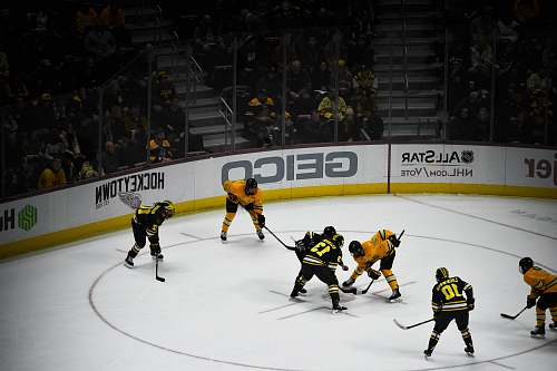 person people playing hockey inside stadium hockey
