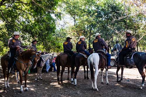 person people riding horse horse