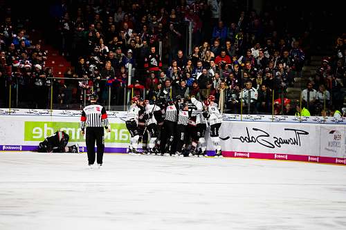 people people watching players on ice rink sports