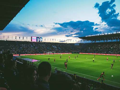 people people watching soccer arena stadium